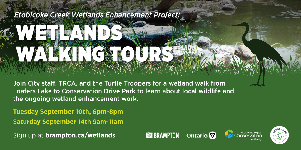 Wetlands Walking Tours 2024 banner