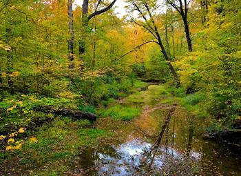 Claireville Conservation Area