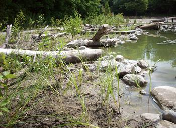 Heart Lake Conservation Area