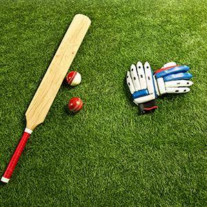 Cricket Pitch Bookings