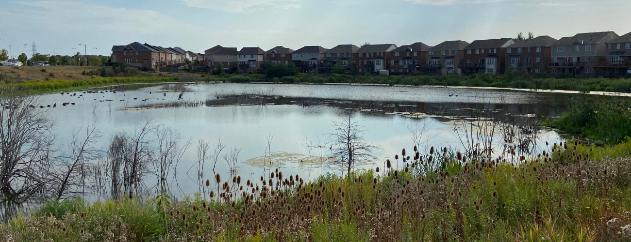 Stormwater Pond Winter