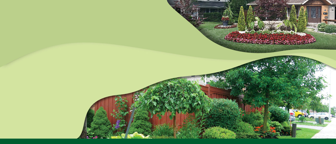 City Of Brampton Parks And Open Spaces Front Garden Recognition Program Registration Form